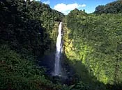 Big Island Scenic Tours: akaka