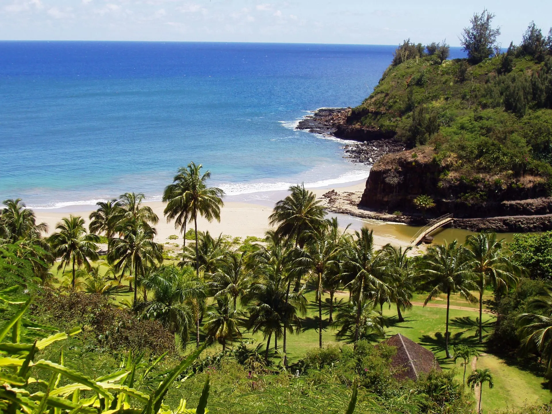 Palms and tropical plantings in the Lawai Valley at Allerton Garden on Kauai.