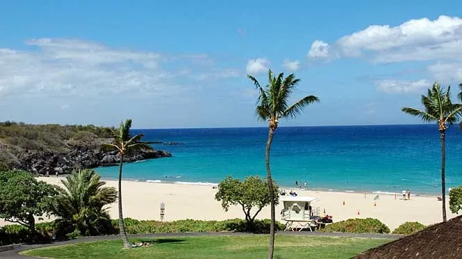 Hapuna Beach’s wide white sand and turquoise water under coconut palms, South Kohala.