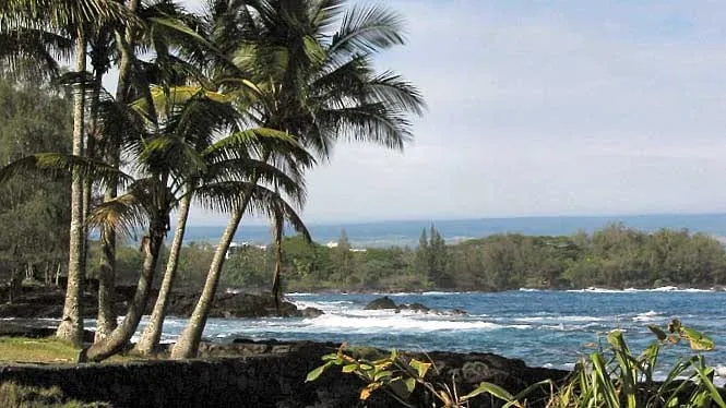 Coconut palms and ironwoods shading the rocky shore at Leleiwi Beach Park near Hilo.