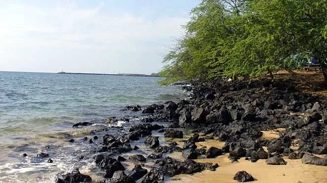 Lava rocks and kiawe trees along the calm shoreline at Spencer Beach Park, Kawaihae.