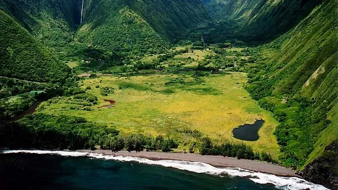 Waipio Valley’s taro fields and black sand beach seen from the lookout above.