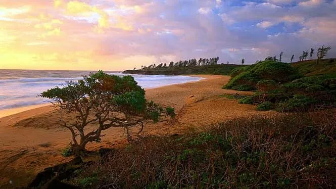 The empty curve of Donkey Beach north of Kapaa, Kauai.