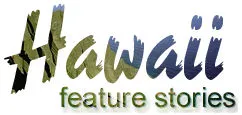 Island Insights: feature hawaii