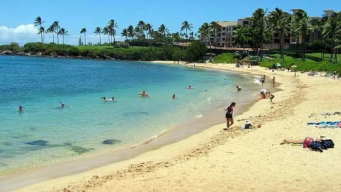 Swimmers and sunbathers on the crescent of Kapalua Bay Beach, with the resort behind.