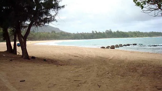 Ironwood trees shading the sand at Anahola Beach Park on Kauai’s east shore.
