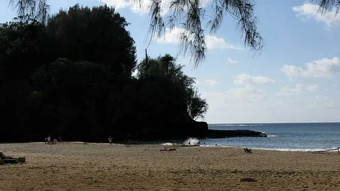 Kalihiwai Beach near dusk, with the wooded headland at the river mouth.