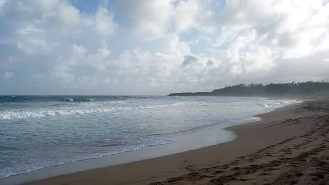Waves rolling onto the long sand of Kealia Beach under grey skies.