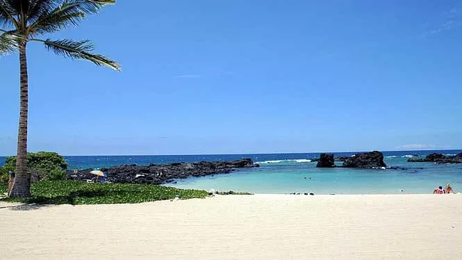 Palm shade over the protected cove at Kikaua Point Beach Park in Kona.