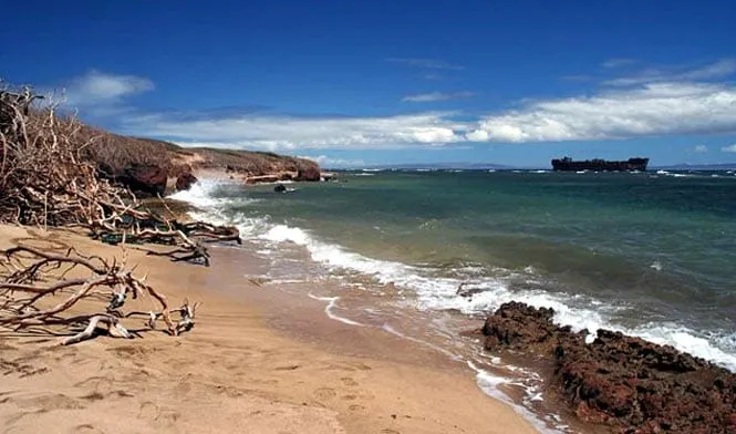 Driftwood on the sand along Lanai’s windward coast, with the grounded ship offshore at Shipwreck Beach.