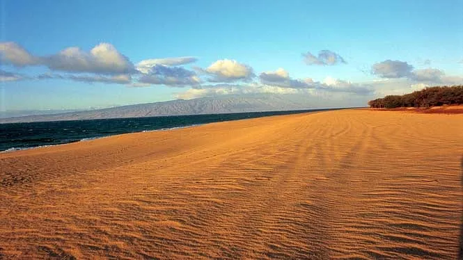 Wind-rippled sand stretching along Polihua Beach on Lanai’s north shore, with Molokai across the channel.