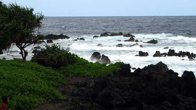 Surf breaking on the black lava shore of Laupahoehoe Point on the Hamakua Coast.