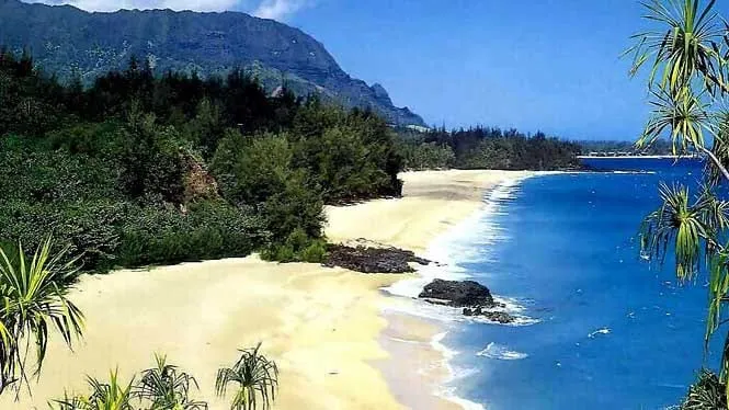 Lumahai Beach framed by hala trees with the North Shore mountains behind, Kauai.