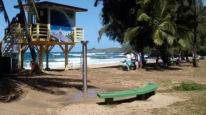 The lifeguard tower and picnic tables under the ironwoods at D.T. Fleming Beach Park.