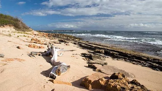 Driftwood and coral rubble on the sand at Hale O Lono Beach on Molokai’s south-west shore.