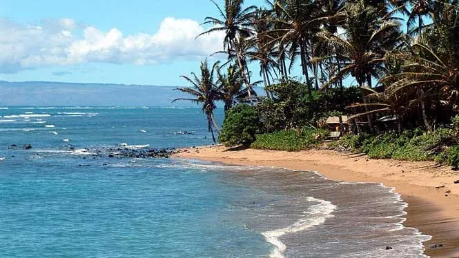A small sandy cove at Pukoo on Molokai’s east shore, with coconut palms along the water.