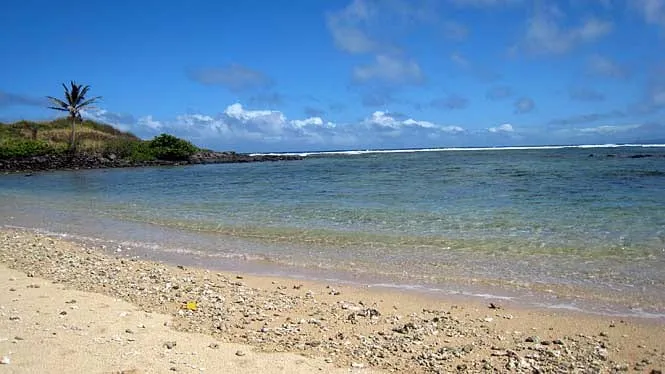The small sandy strip of Sandy Beach on Molokai’s east end, with a coconut palm at the water’s edge.