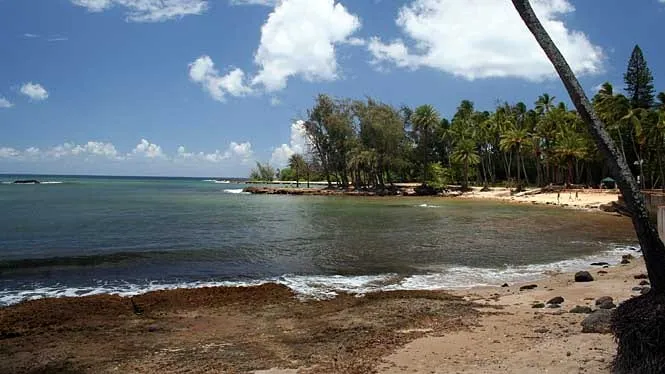 Ironwoods and calm water at Haleiwa Beach Park on the North Shore.