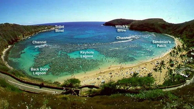 Hanauma Bay from above with its snorkeling areas labelled: Keyhole Lagoon, Back Door Lagoon, the channel and Witch’s Brew.