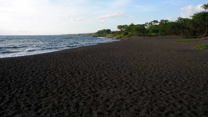 Dark sand and kiawe trees at Oneuli Beach below Puu Olai in South Maui.