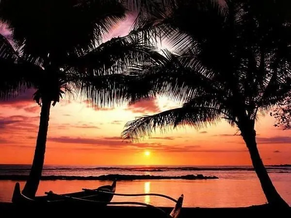 Sunset through the palms at Pokai Bay Beach Park in Waianae, Oahu.