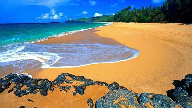 Aerial view of the long golden crescent of Secret Beach near Kilauea, Kauai.