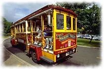 Big Island Transportation: transport
