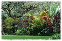 10 Best Attractions in Hawaii: Waimea Arboretum and Botanical Garden, Oahu